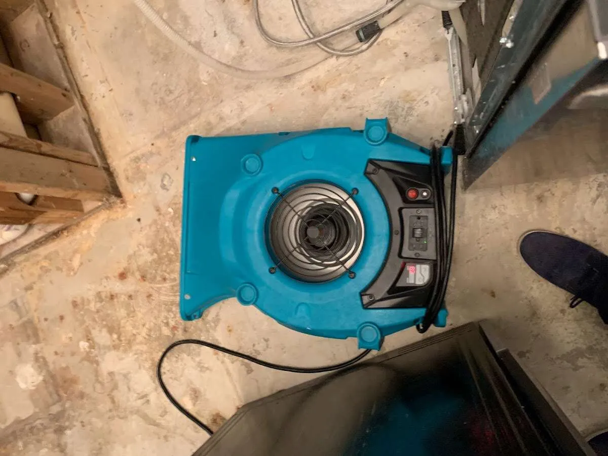 Air mover drying equipment for Mold Remediation & Removal in Albion