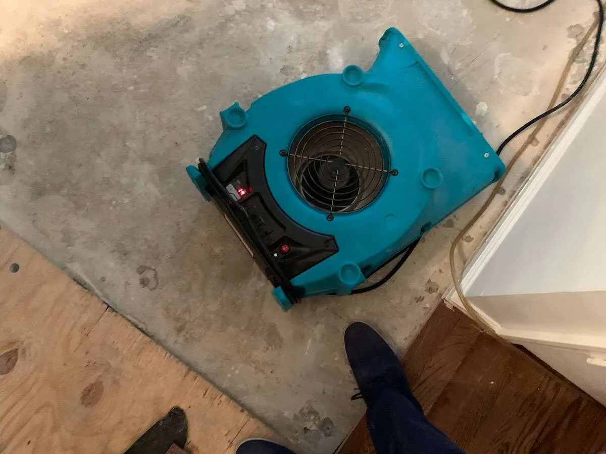 Air mover drying subfloor during Commercial Water Damage Restoration in Albion
